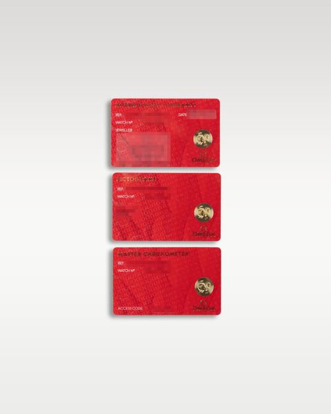 Omega Speedmaster Moonwatch Professional 310.30.42.50.04.001